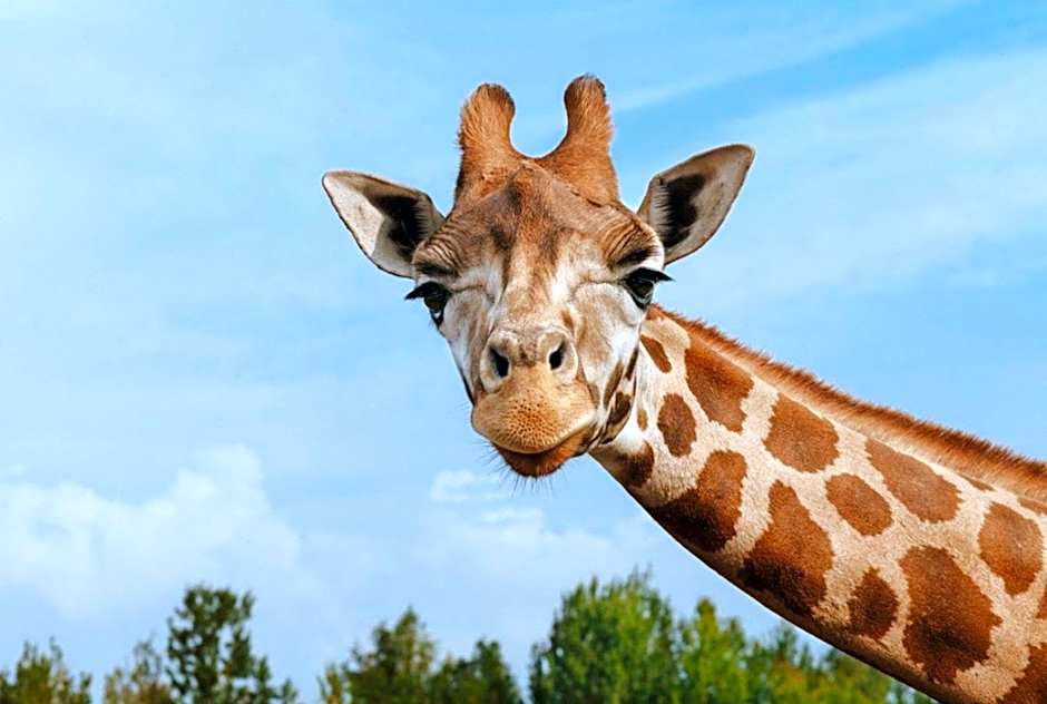 Gasterij Hotel Dennenoord