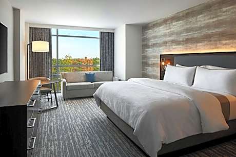 Traditional Room, 1 King Bed