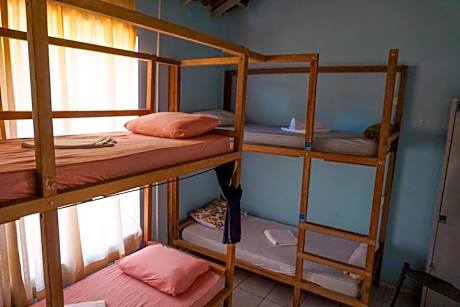 Bed in 6-Bed Mixed Dormitory Room