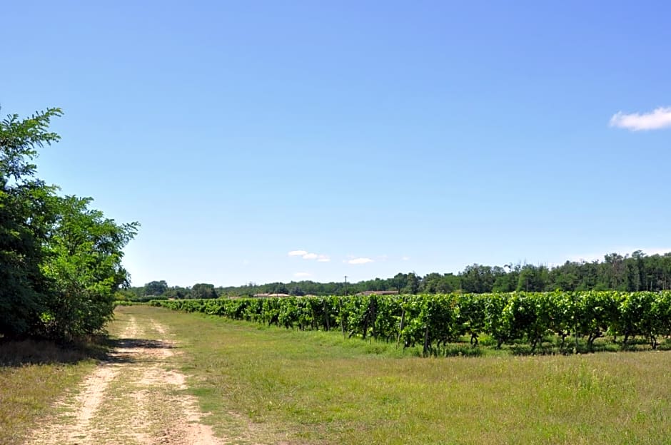 Chambre d'hôtes Sauternais