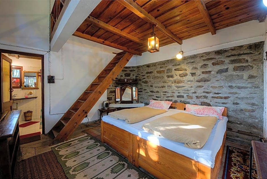 Jungle Lore Birding Lodge