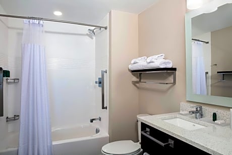 Studio Suite, Multiple Beds (2 Queen Beds and 1 Double Sofa Bed)