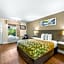 Econo Lodge Inn & Suites Lugoff
