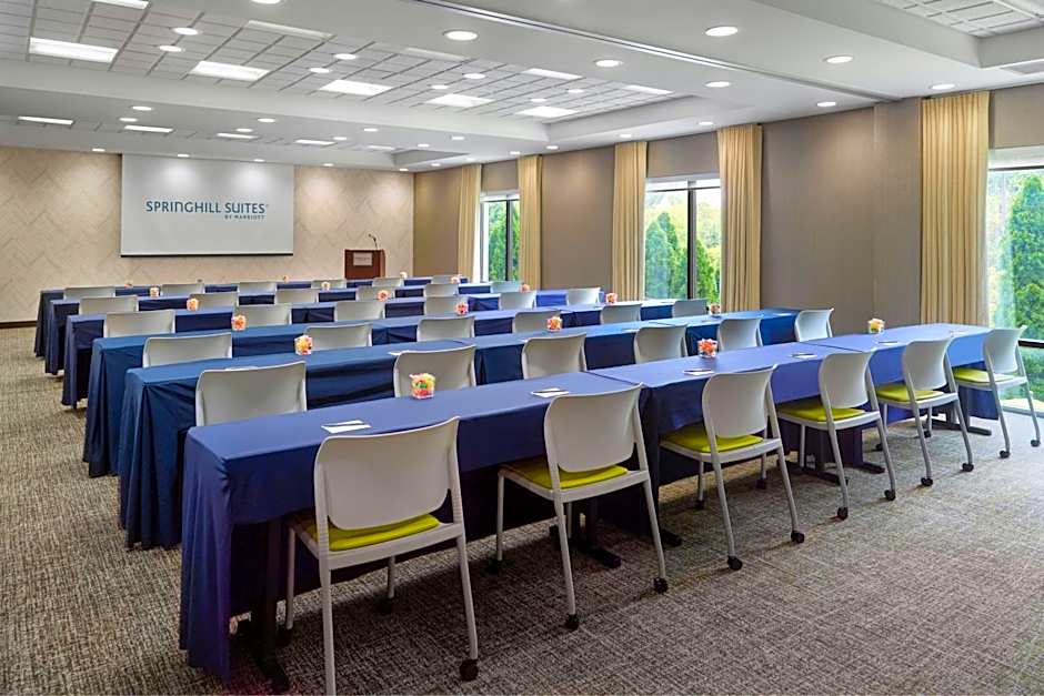 SpringHill Suites by Marriott Hagerstown