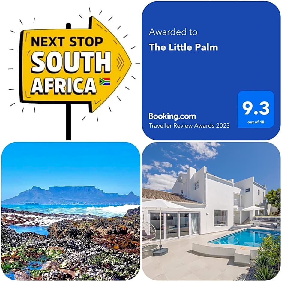 The Little Palm