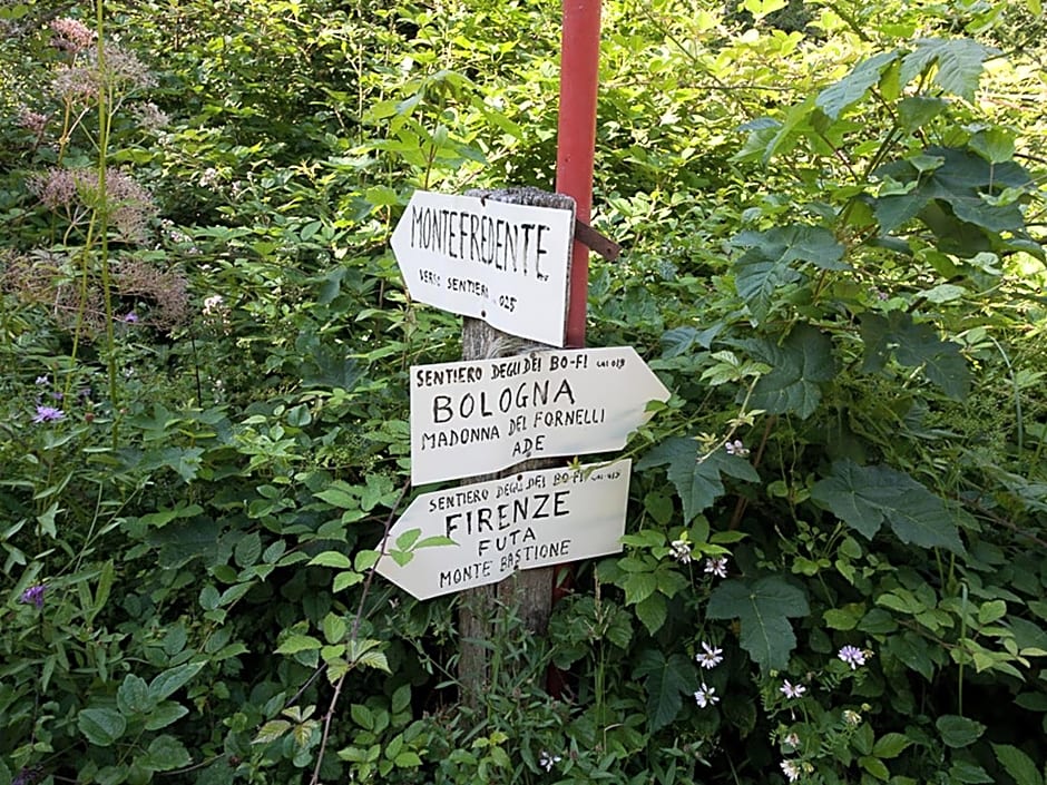 Lodole B&B