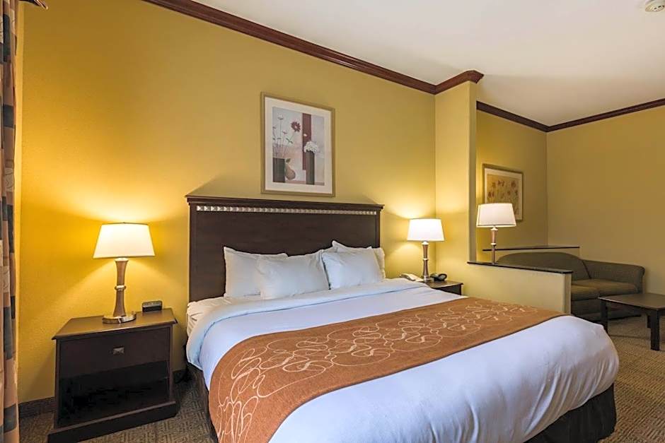 Comfort Suites Galveston Cruise Port Area - Beachside