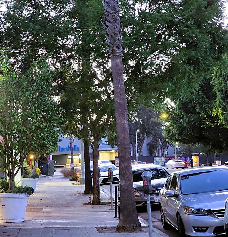 DAY N NIGHT INN - Near Universal Studios Hollywood