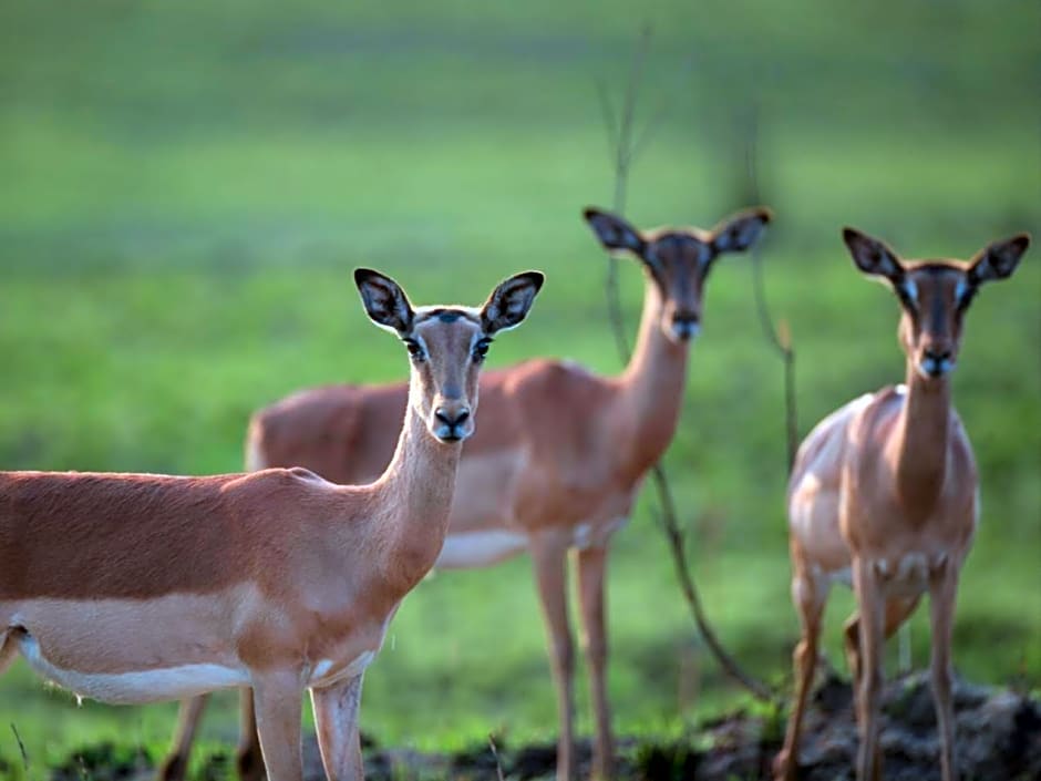 Zulu Waters Game Reserve