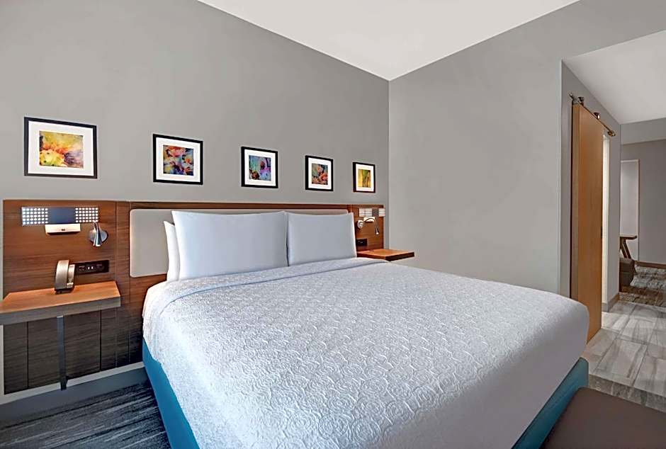 Hilton Garden Inn Houston Medical Center, TX