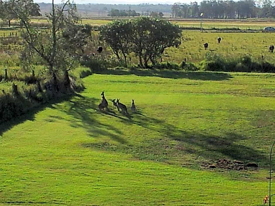 Andavine House - Bed & Breakfast