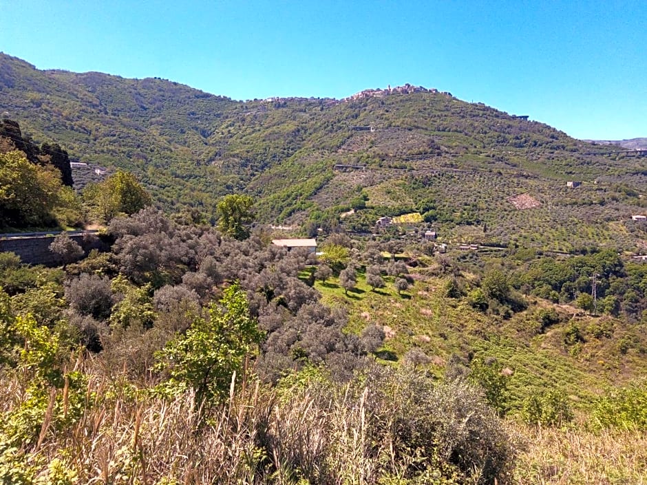 L'Antica Quercia B&B