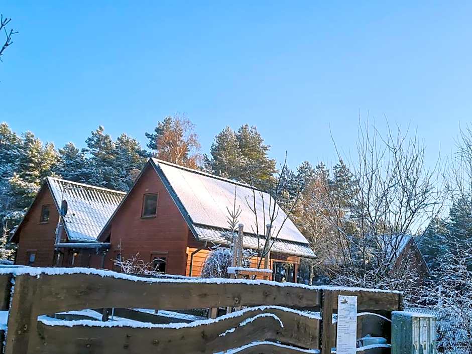 Domki nad Wartą Kajaki & SPA