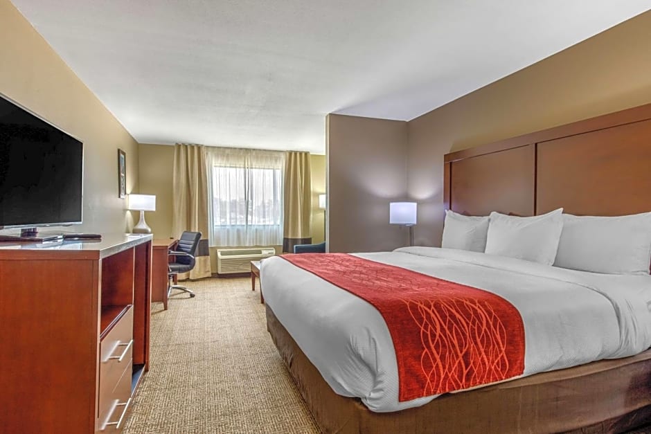 Comfort Inn & Suites Mccomb