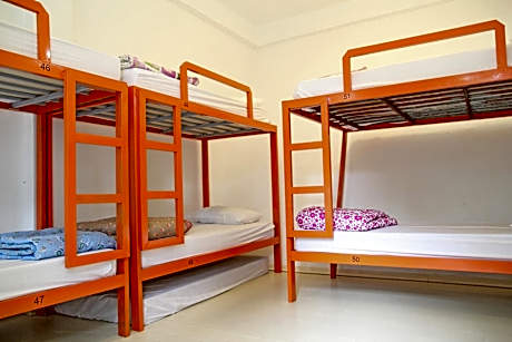 Bed in 6-Bed Mixed Dormitory Room