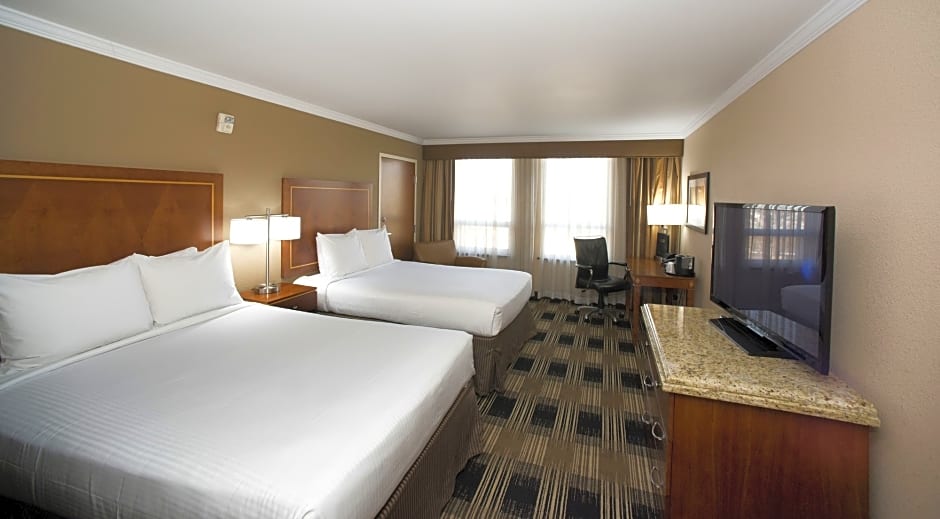 Executive номер. Гостиничные номера Executive Suite. Executive Suite номер отеля. Ab Aragó Executive Suites. Rose Executive Hotel 3 World trade Centre