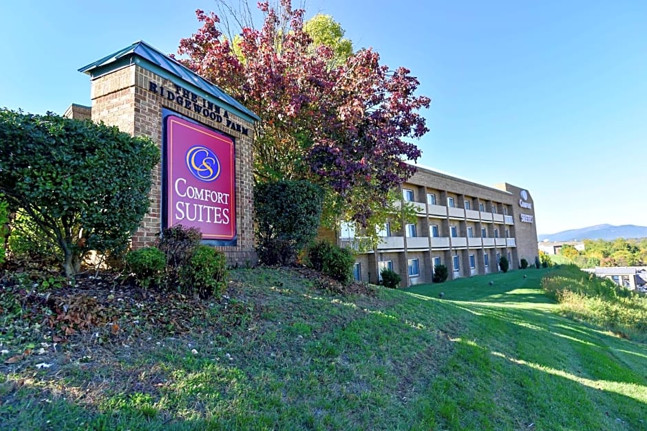 Comfort Suites Inn At Ridgewood Farm