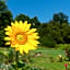 B&B La Provenzale