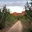 Hotel Rural Mas de l'Illa
