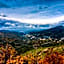 Oasi Verde