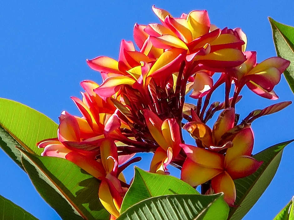 Marlin Waters Beachfront Apartments