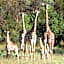 Lindani Game and Lodges