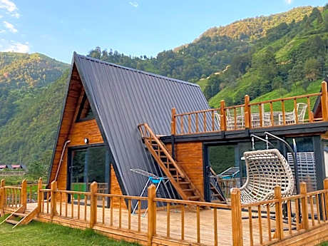Terapi Tatil Koyu
