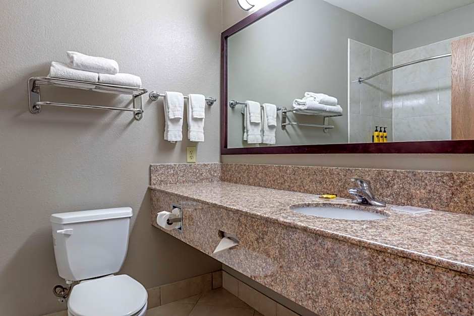 Best Western Plus Mansfield Inn & Suites