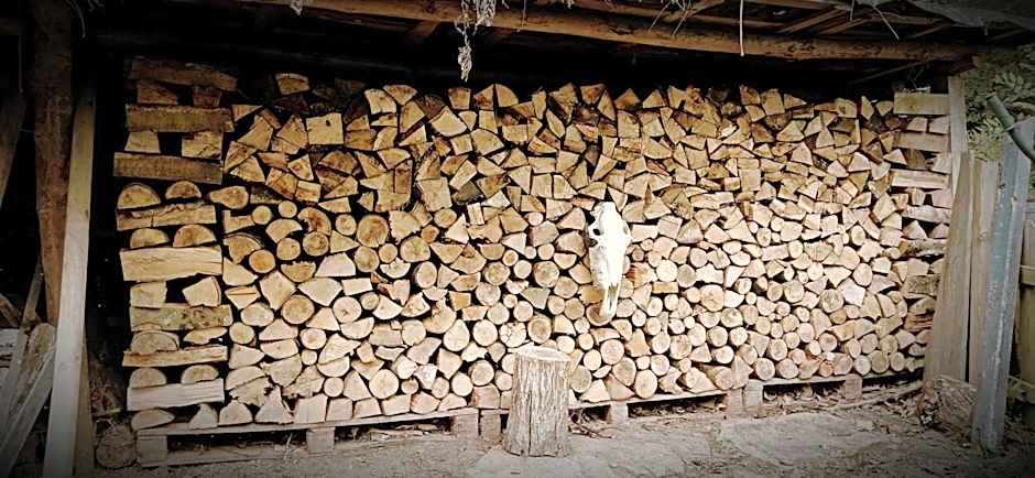 Albergue Olasenea Aterpea