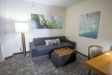 Studio, 1 King Bed (1 King Bed)