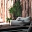Nikau Hotel El Cuyo - Adults Only