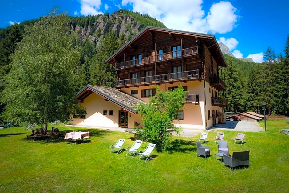 Alpine Forest Hotel