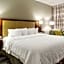 Hampton Inn By Hilton Minneapolis/St. Paul-Woodbury