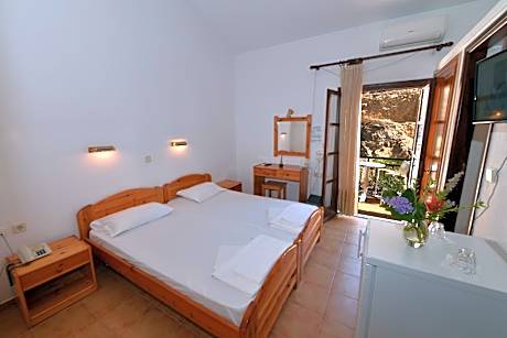 Double or Twin Room with Mountain View