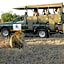 Timbavati Safari Lodge