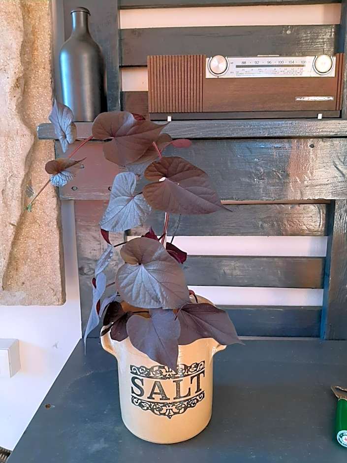 B&B La Fenice sul Lago