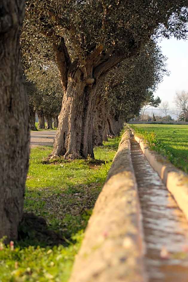 Can Simoneta - Adults Only