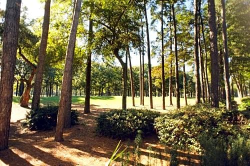 Pawleys Plantation Golf & Country Club