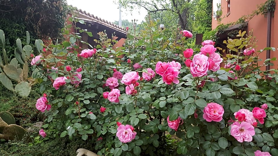 B&B La Rosa Antica