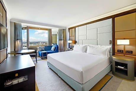 King Superior Room with Danube River View