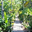 Amaroo Rainforest Resort