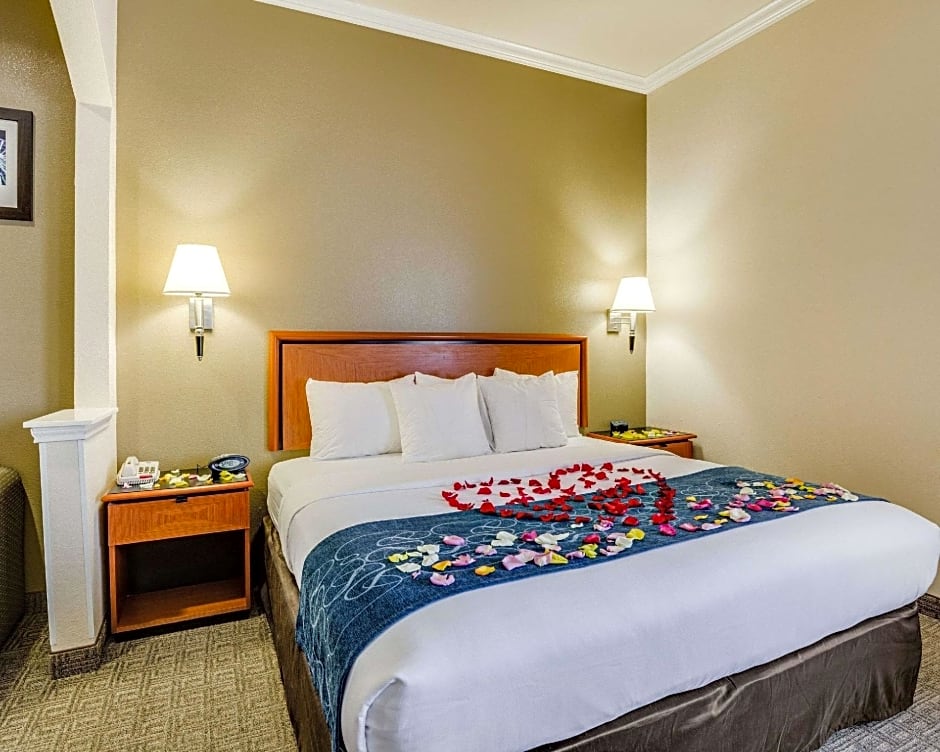 Comfort Suites Deer Park