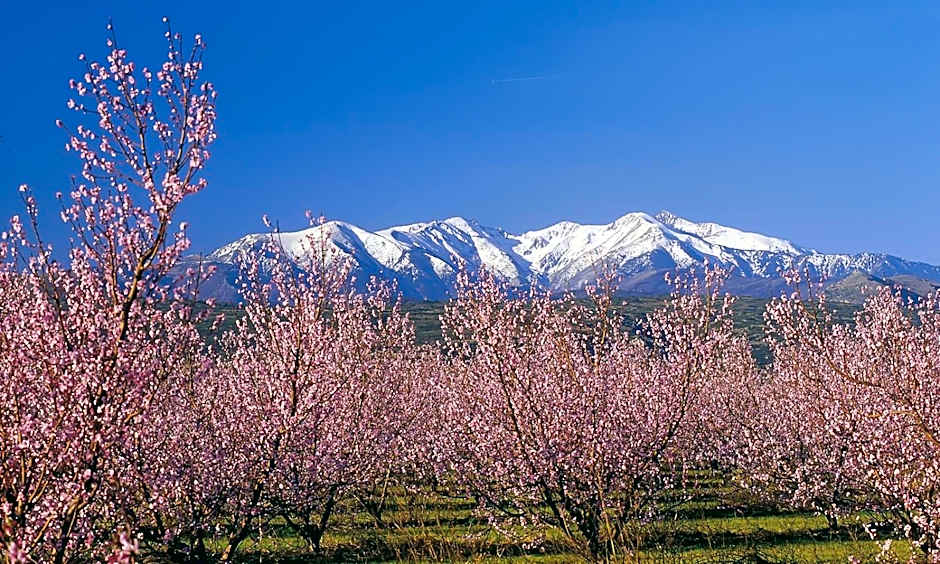 Campanile Perpignan Sud