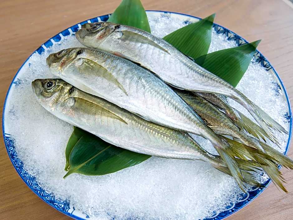 Iwamotoro