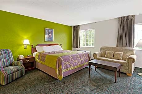 1 King Bed, Studio Suite, Non-Smoking Room