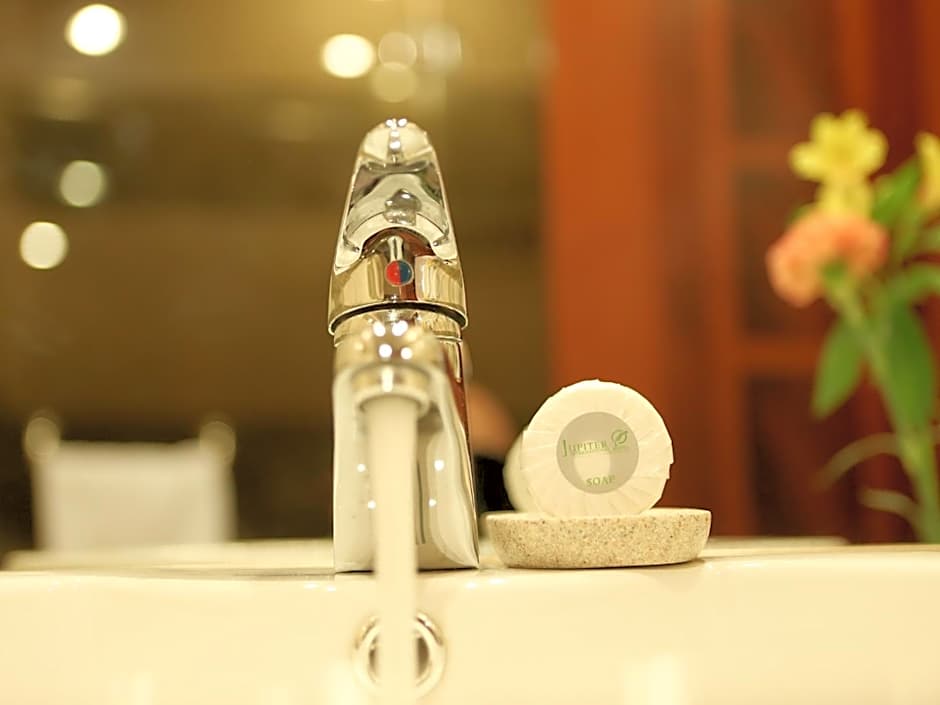 Jupiter International Hotel Bole