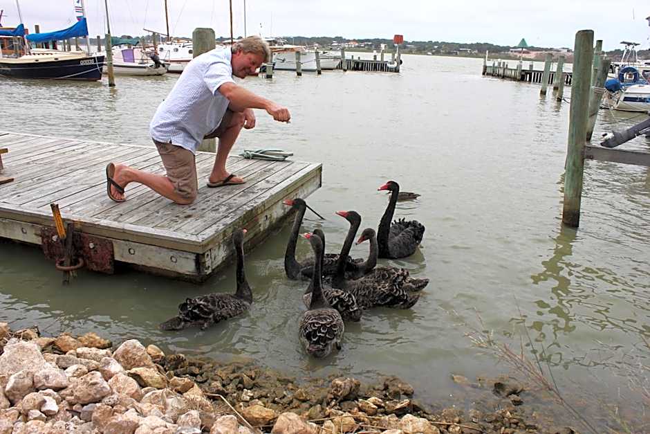 Boathouse - Birks River Retreat