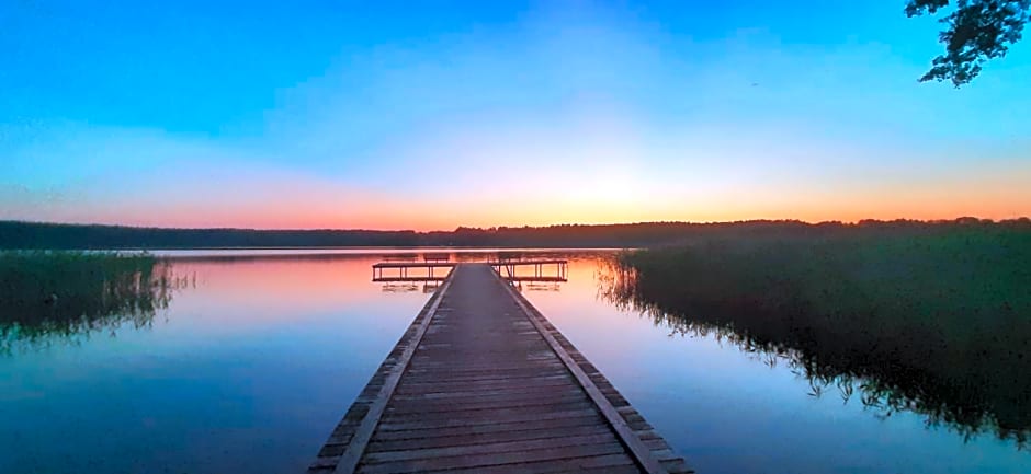 BORY TUCHOLSKIE SKÓRZENNO KO¿O OSIEKA