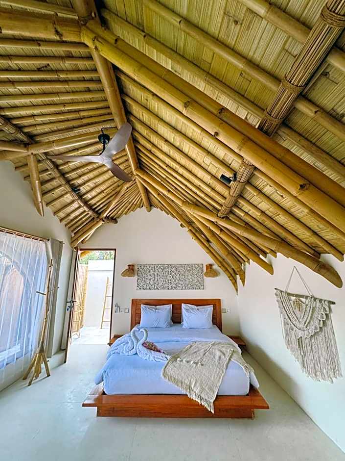 Tipsea Turtle Gili Air