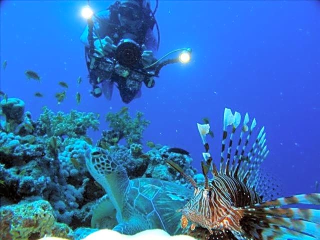 La Tonnelle Guest House